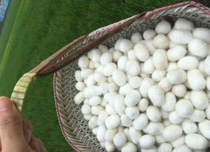 纯手工蚕丝子母被 让你舒适睡个安稳觉