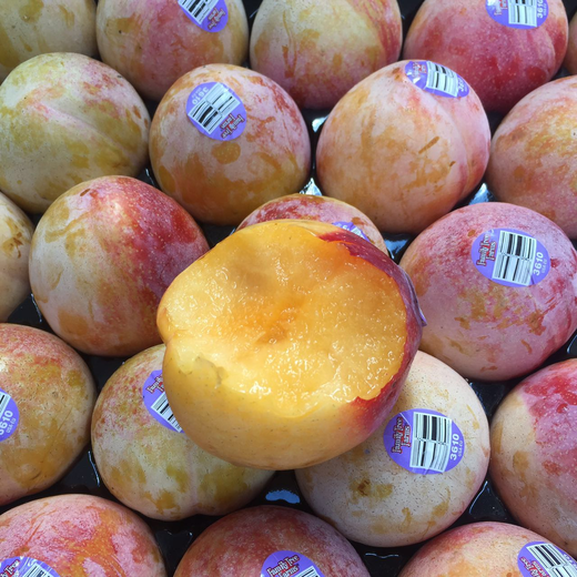 沪苏浙皖包邮它来自美国名字和它的颜色一样充满魔力火龙蛋上实拍图