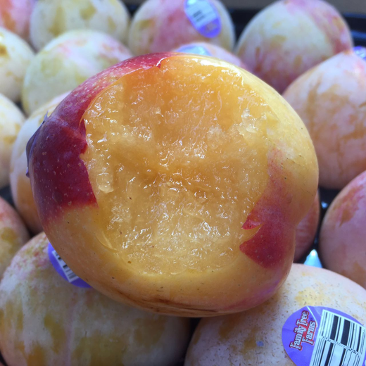 沪苏浙皖包邮它来自美国名字和它的颜色一样充满魔力火龙蛋上实拍图