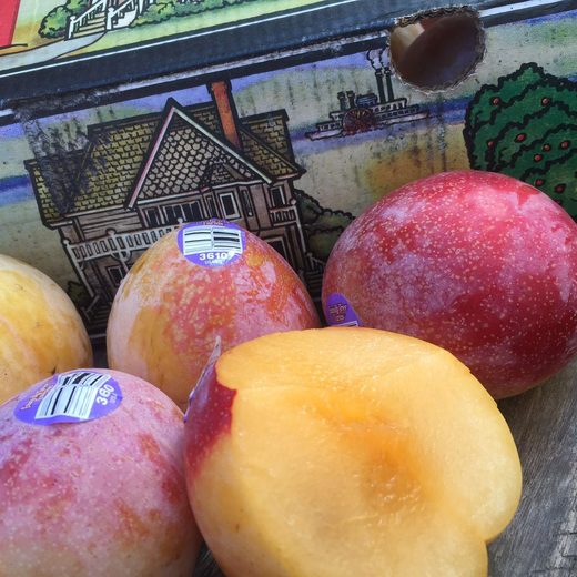 沪苏浙皖包邮它来自美国名字和它的颜色一样充满魔力火龙蛋上实拍图