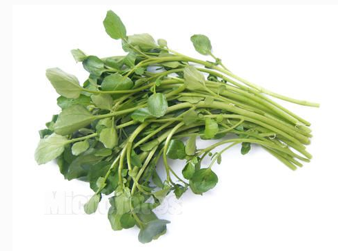 301西洋菜 500克/份