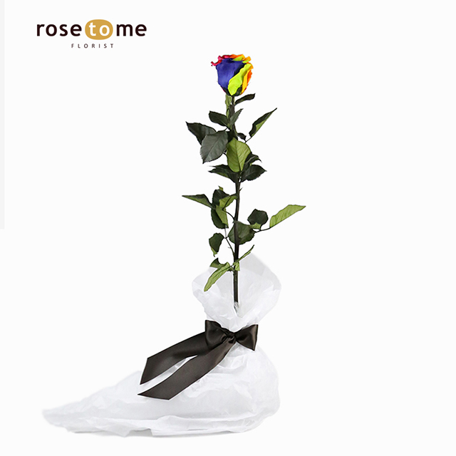 【rosetome专属花店】雅典娜女神the goddesses 厄瓜多尔永生玫瑰