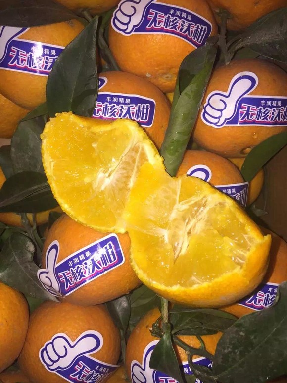 沃柑,也叫橘橙,118\/箱满88送货12.8\/斤