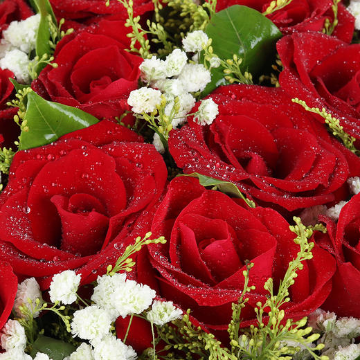 执着的信念—19朵红玫瑰花束送女朋友生日表白情人节礼物