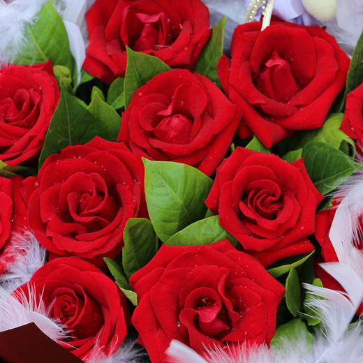 浪漫约定—11朵红玫瑰花束送女朋友老婆生日表白情人节礼物