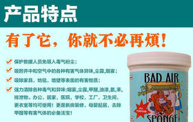 Bad Air Sponge 超级空气净化剂