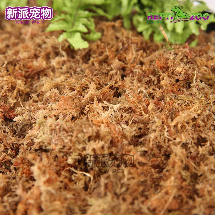 Reptizoo爬虫专用压缩苔藓 黄色 水苔角蛙黄缘保湿垫材