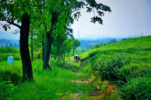 （永久下架）【一路有你】 大手拉小手 一起秋游去 商品图0
