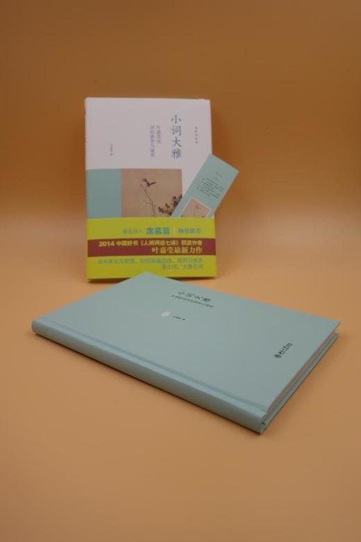 《小词大雅:叶嘉莹说词的修养与境界》
定价：42元
作者：叶嘉莹
包装：精装
出版时间：2015-04-01 
ISBN：9787301256008
丛书名：迦陵讲演集
出版社：北京大学出版社
版次： 商品图7