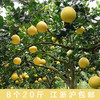 商品缩略图