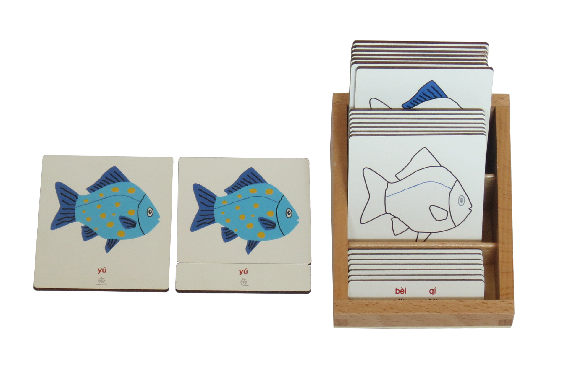 406429cjpb 动物部分名称三段卡-鱼 -中文 拼音 盒子