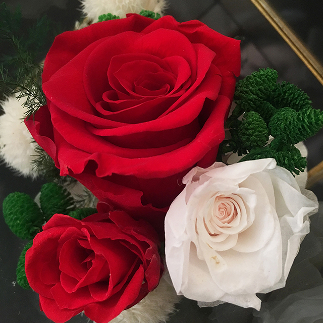 杜兰朵 永生花 印象花园