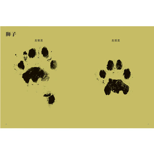 动物的脚印