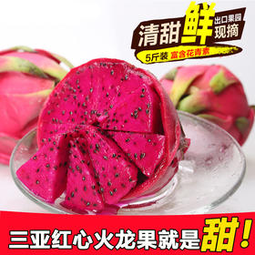 海南紅心火龍果 新鮮水果 紅肉火龍果 香甜多汁 5斤/箱
