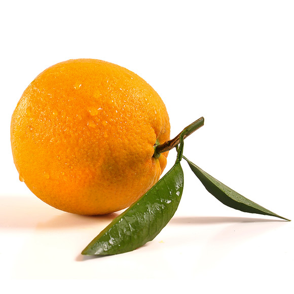 【宜昌馆】纽荷尔 长虹 脐橙新鲜水果橙子 现摘