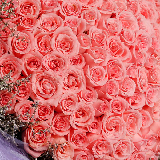 爱你三生三世—99朵粉玫瑰花束送女朋友爱人情人节礼物同城送花