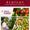 戢牌/新疆戢枣（大果）/甜枣/红枣/有机干枣/全国包邮 商品缩略图7