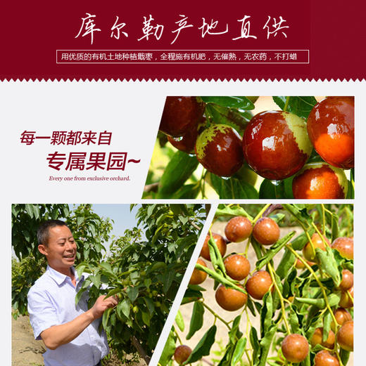 戢牌/新疆戢枣（大果）/甜枣/红枣/有机干枣/全国包邮 商品图7