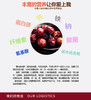 戢牌/新疆戢枣（大果）/甜枣/红枣/有机干枣/全国包邮 商品缩略图9