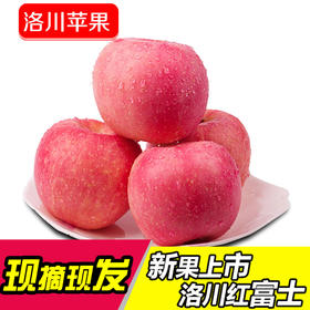 洛川苹果 陕西红富士苹果 水果礼盒新鲜水果 大果19斤装-约30个