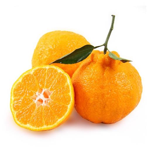 春见耙耙柑4个650g+ 商品图2