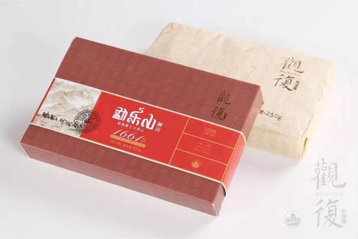 2014年观复（1661）熟砖250g 商品图2