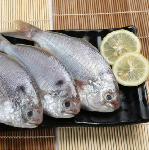 麦小鲜-【野生海鲜】刺鲳鱼