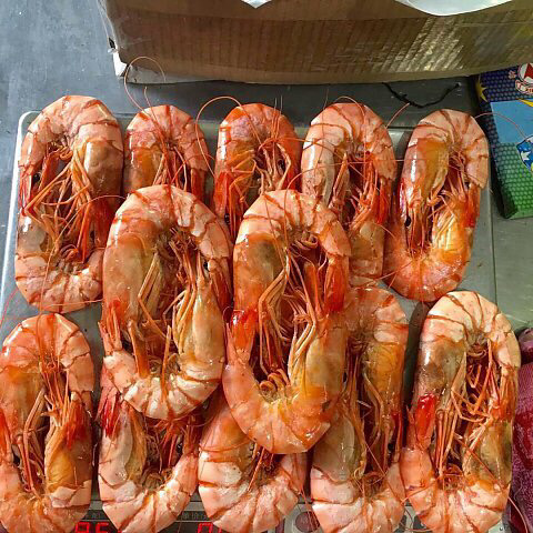 超大野生九节虾(15对)