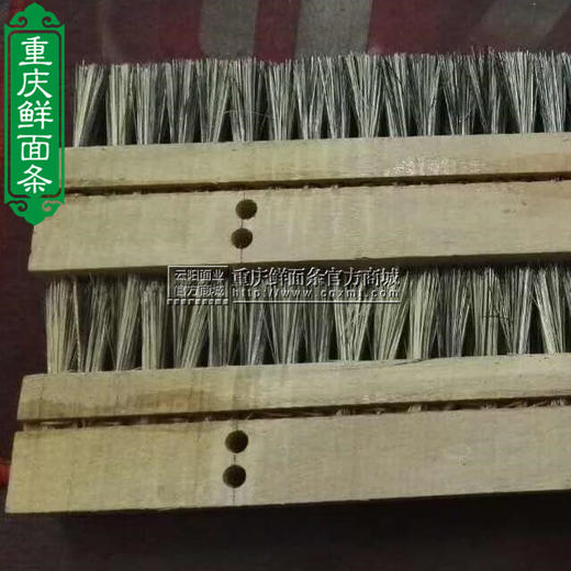 扫皮机粉箱（内刷子）单个价 商品图2