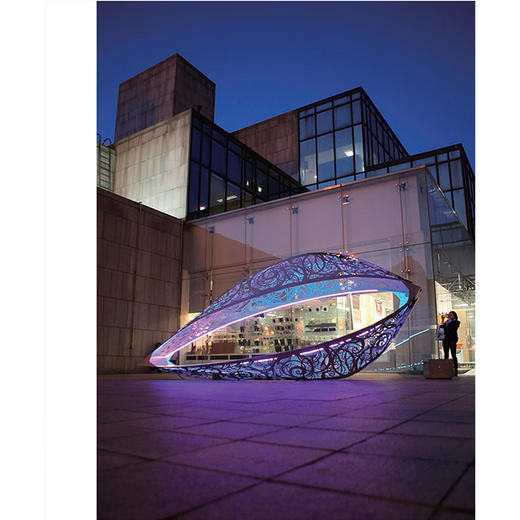 雕塑的艺术：戴文•劳伦斯•菲尔德作品集 商品图3