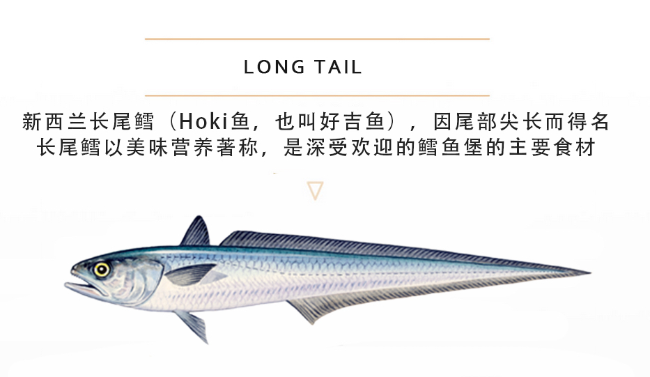 新西兰长尾鳕运费到付