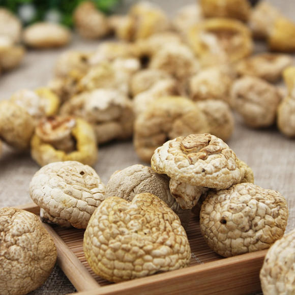 石渠白菌,白菌,白菌菇_大山谷图库