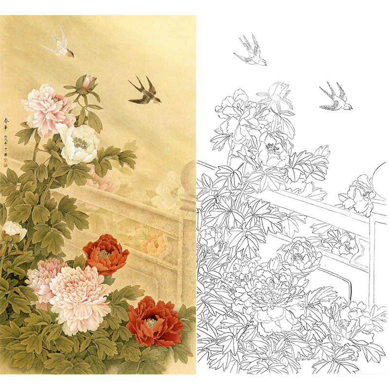 白描底稿周中耀工笔牡丹春华fv01
