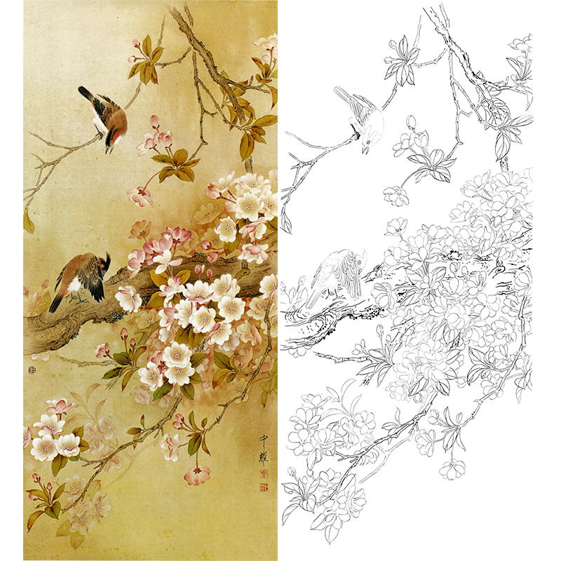 白描底稿-工笔花鸟-fv04