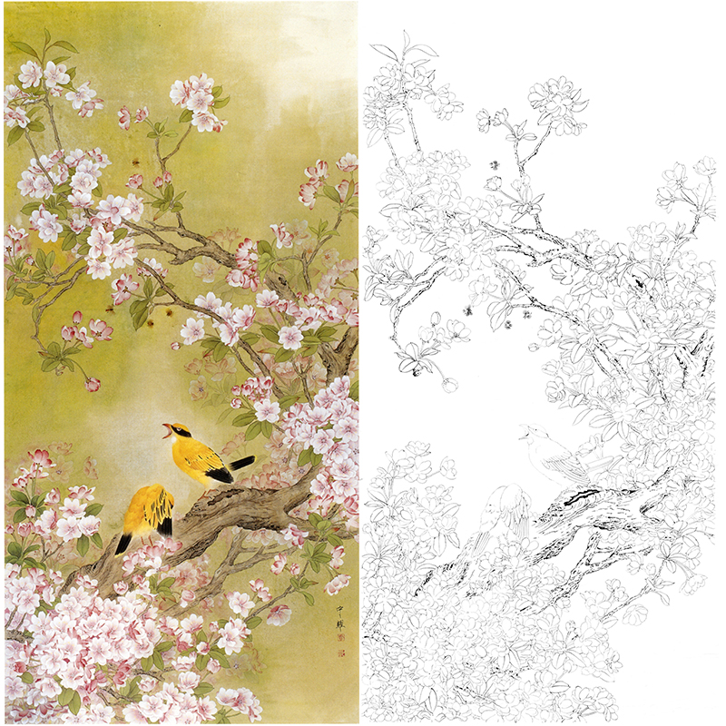 白描底稿-周中耀工笔花鸟-fv06