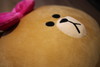 米朵礼物｜LINE FRIENDS CHOCO（丘可）or BROWN（布朗）熊抱枕毛绒抱枕30cm时尚可爱动漫周边靠垫 商品缩略图1