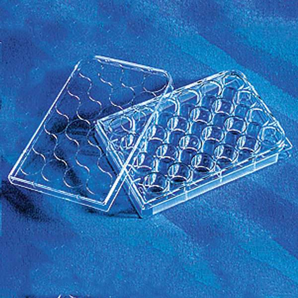 corning 3524 24孔板