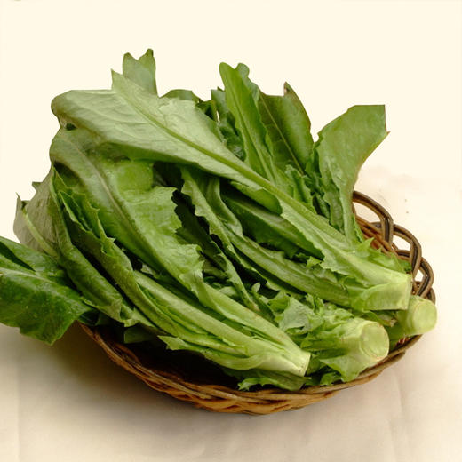 油麦菜 新鲜,爽嫩!