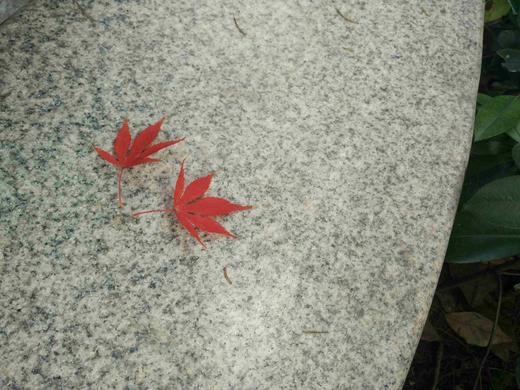 洗衣会员卡 商品图0