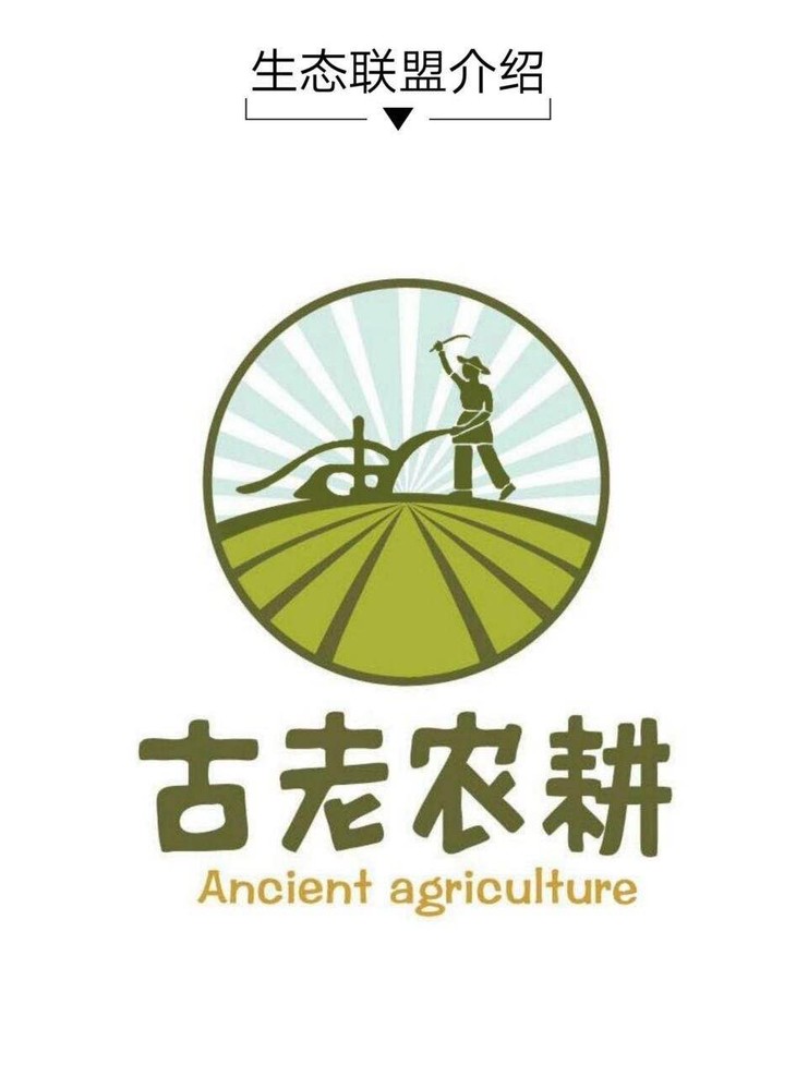 【福建泉州】小山村老夫妇古法酱油2l装 二十年良心