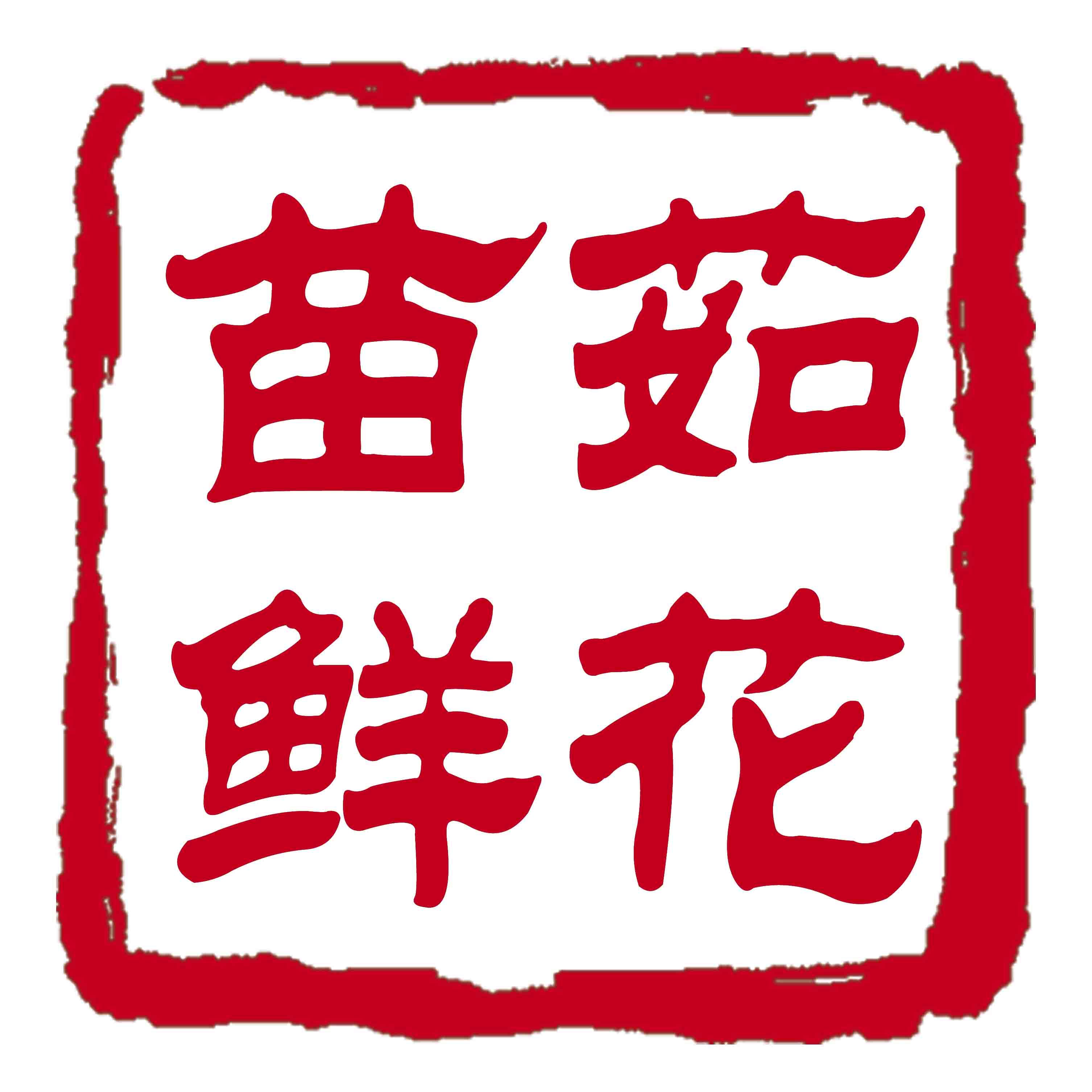 苗茹家的花店230204