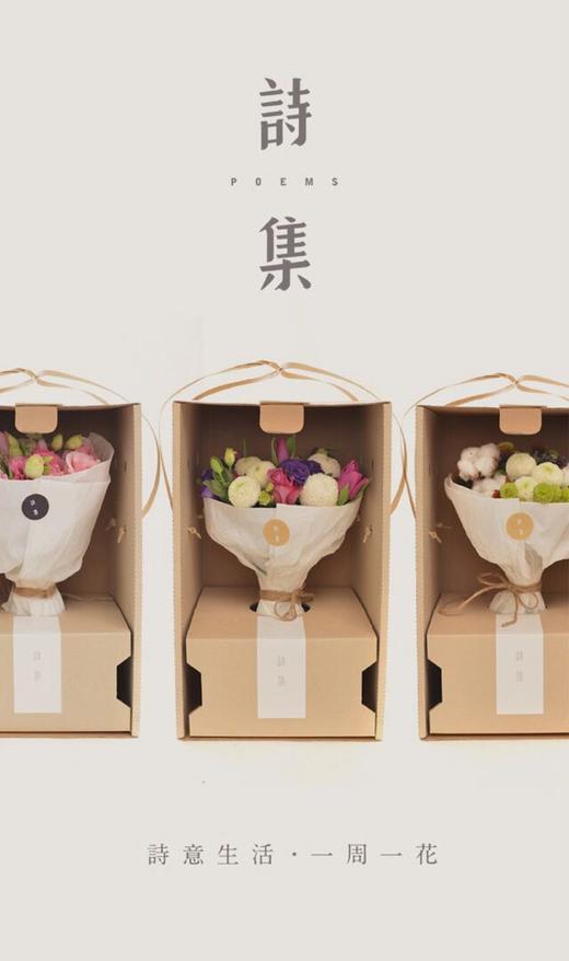 陈升萍 商品图0