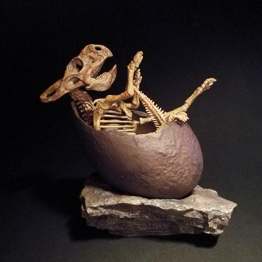 【定制】原角龙 三角龙 恐龙蛋 骨架 模型12CM【菊石制造】 商品图0