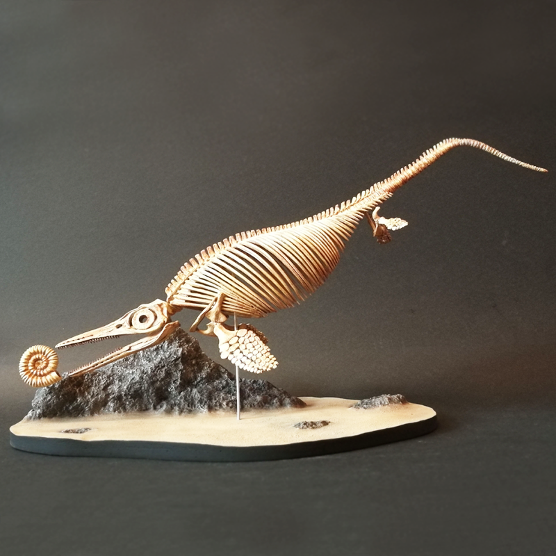 【包邮】【菊石制造】鱼龙 恐龙 骨架 捕食场景 树脂模型