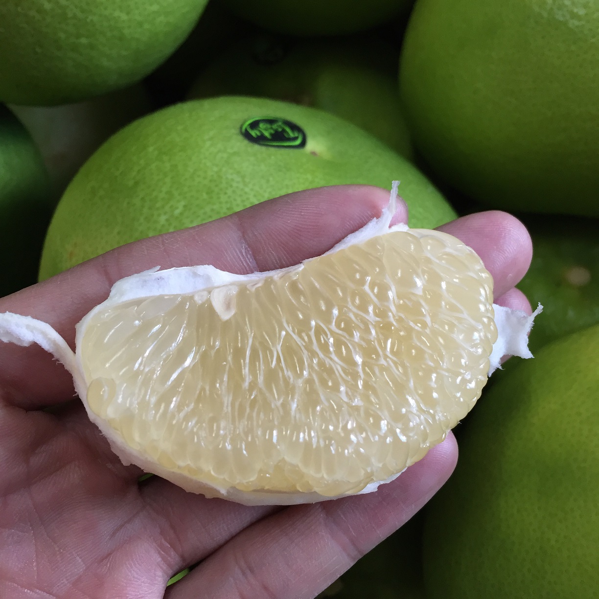 【看着巨酸的青柚】神奇国度以色列 出产的青