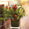 圣诞礼丨松果尤加利圣诞小瓶花 商品缩略图0