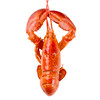 （永久下架）波士顿龙虾 商品缩略图0