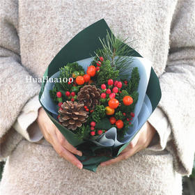 圣诞礼丨松果红果圣诞小台花