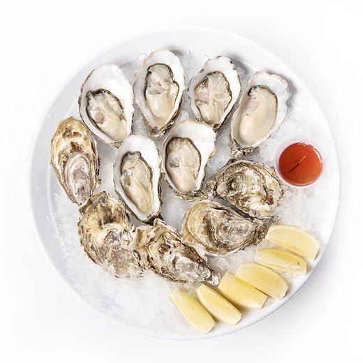 （永久下架）天宝生蚝N2 （12只） 商品图0