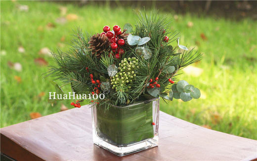 圣诞礼丨松果尤加利圣诞小瓶花 商品图2